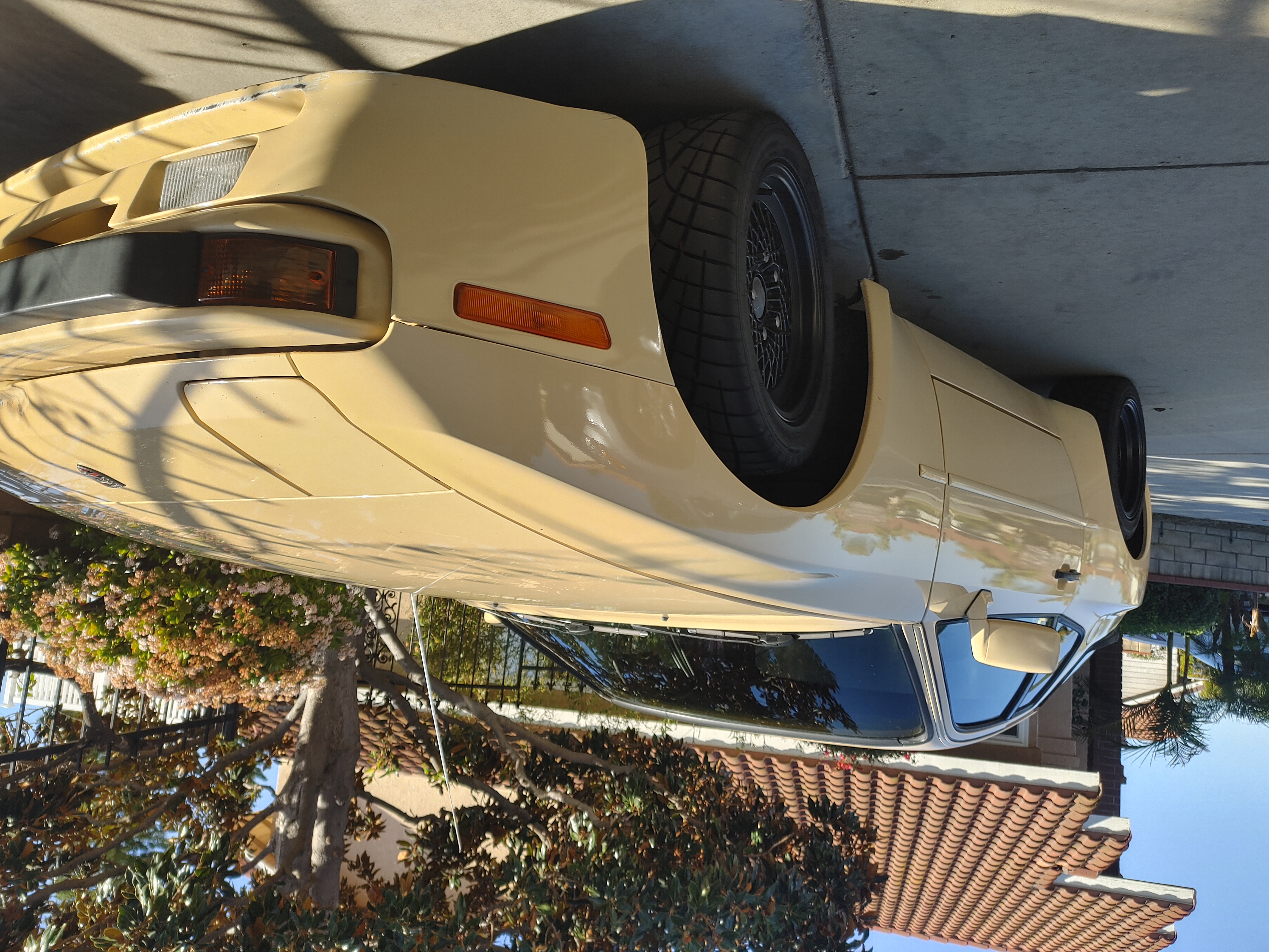0220211536_HDR.jpg