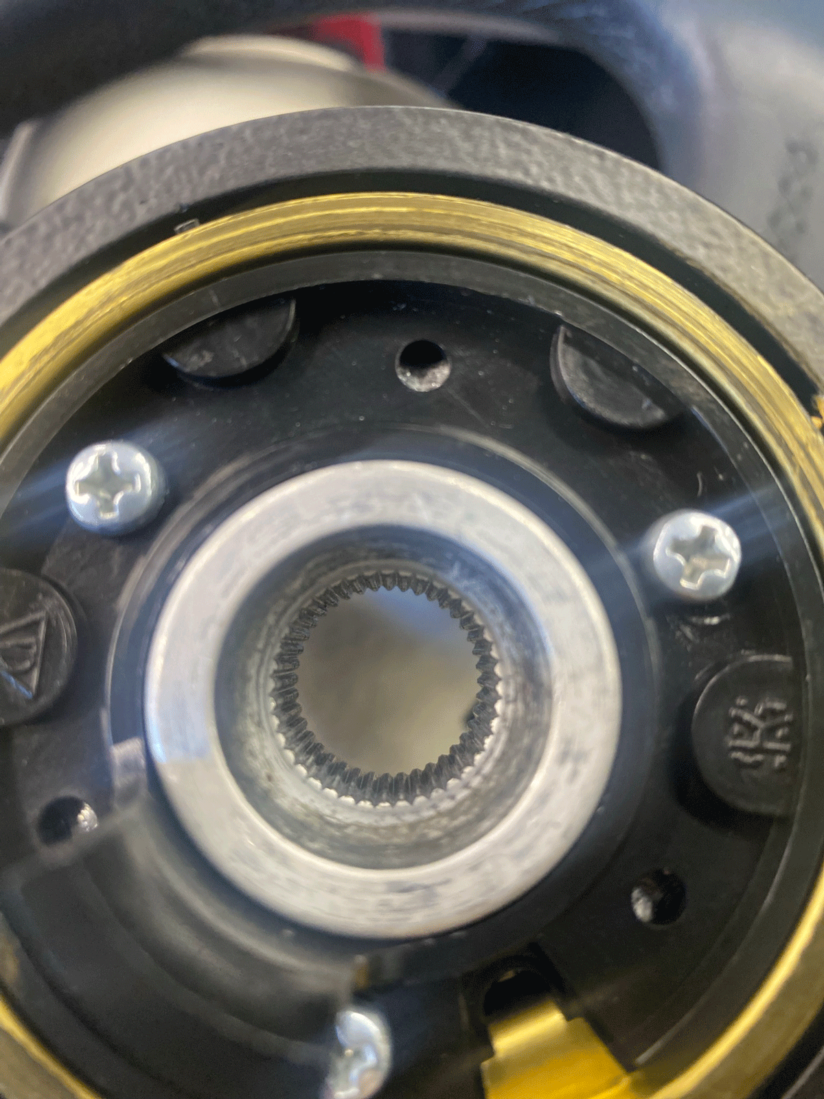 40-splines.gif