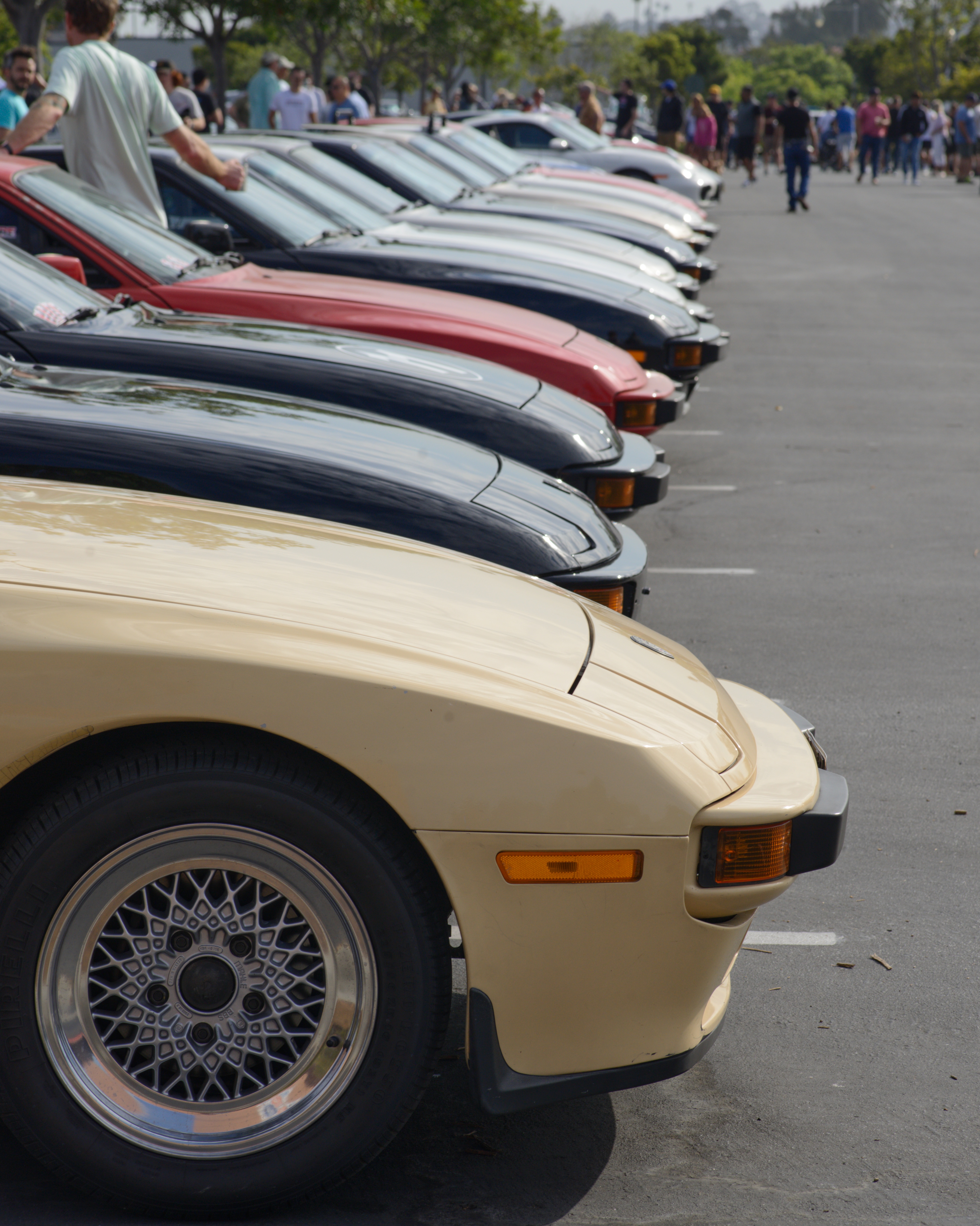 DSC_5234-01.jpeg