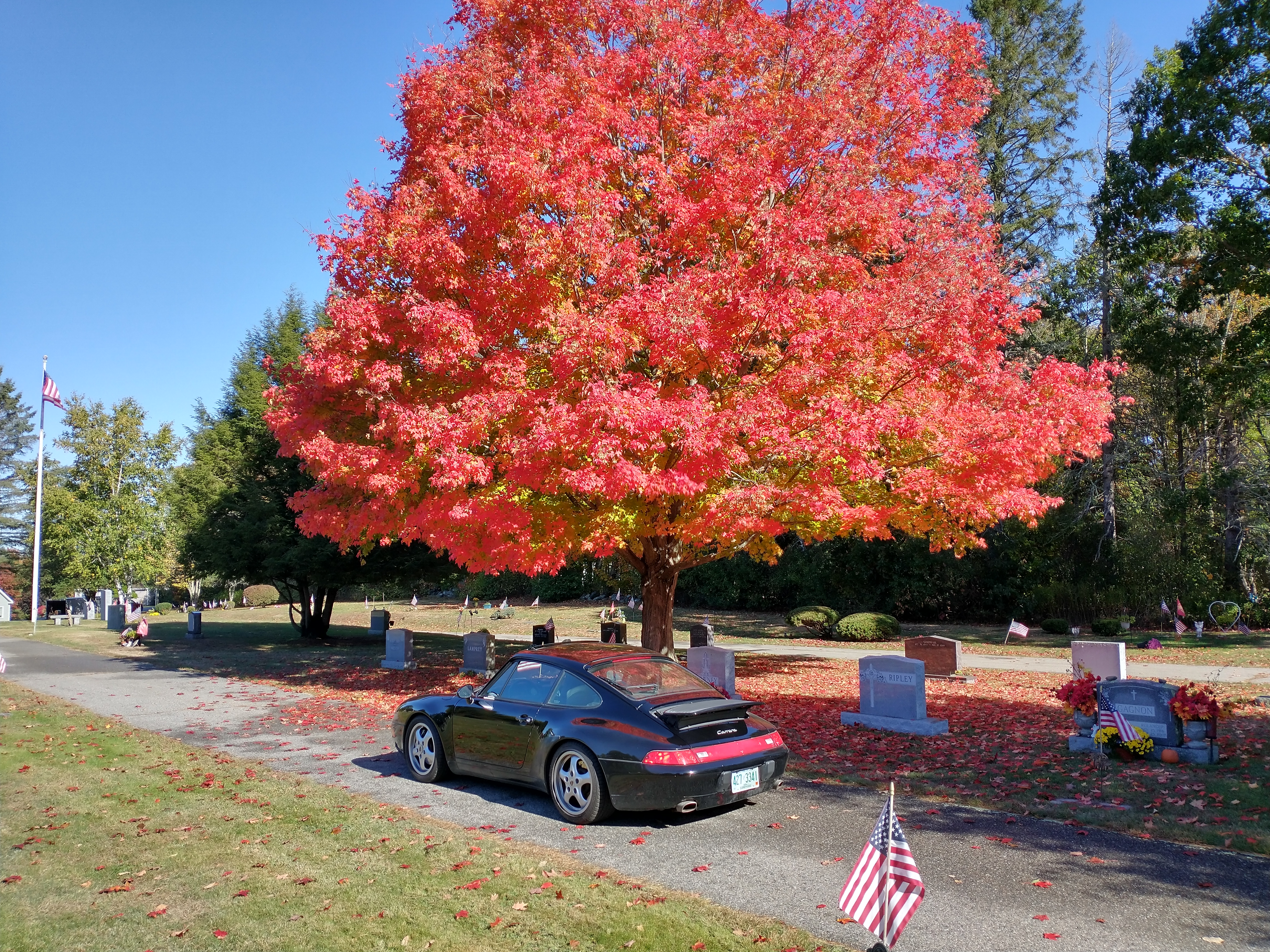 IMG_20201014_103742353_HDR.jpg