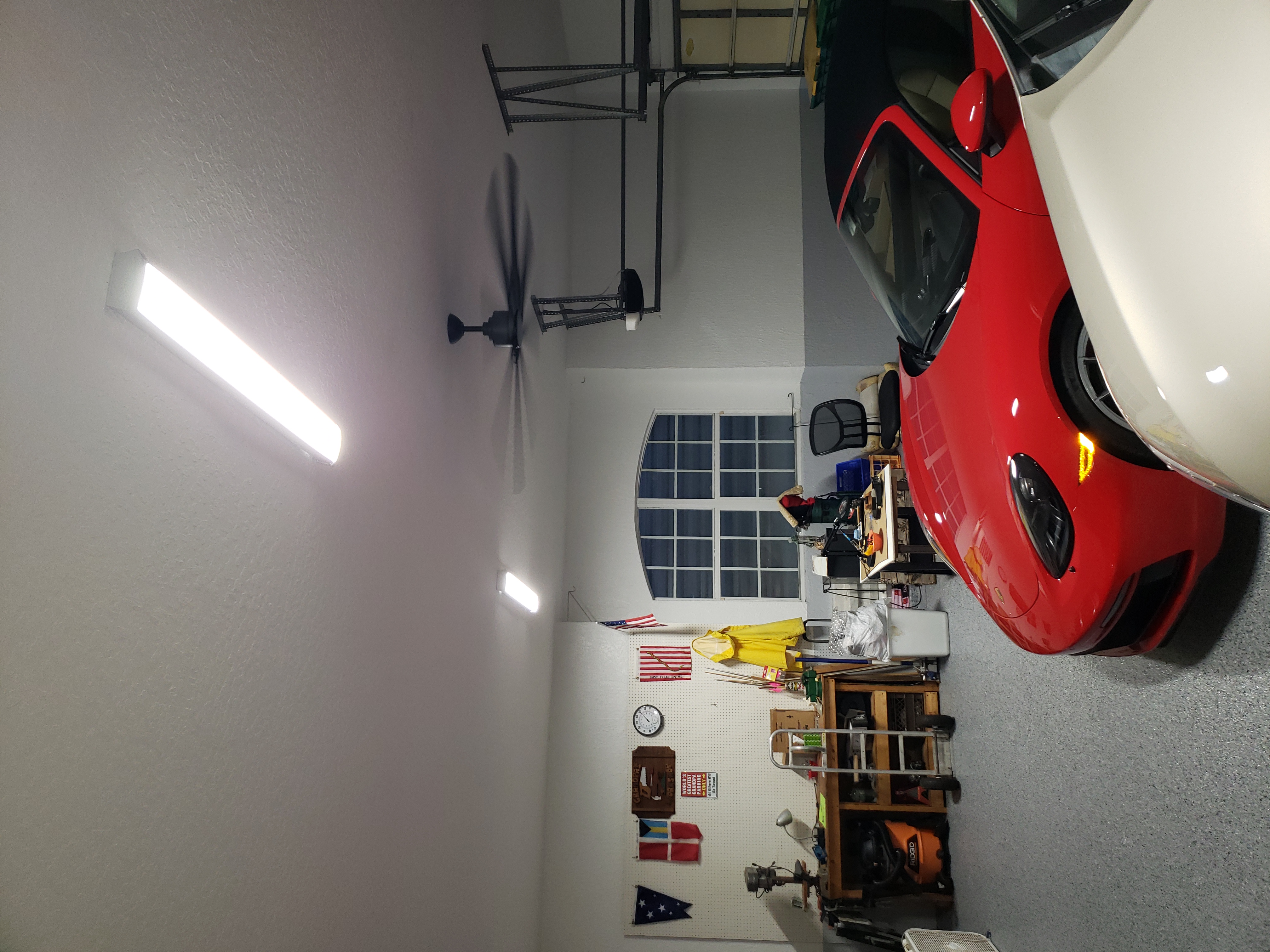 20231114_063558.jpg