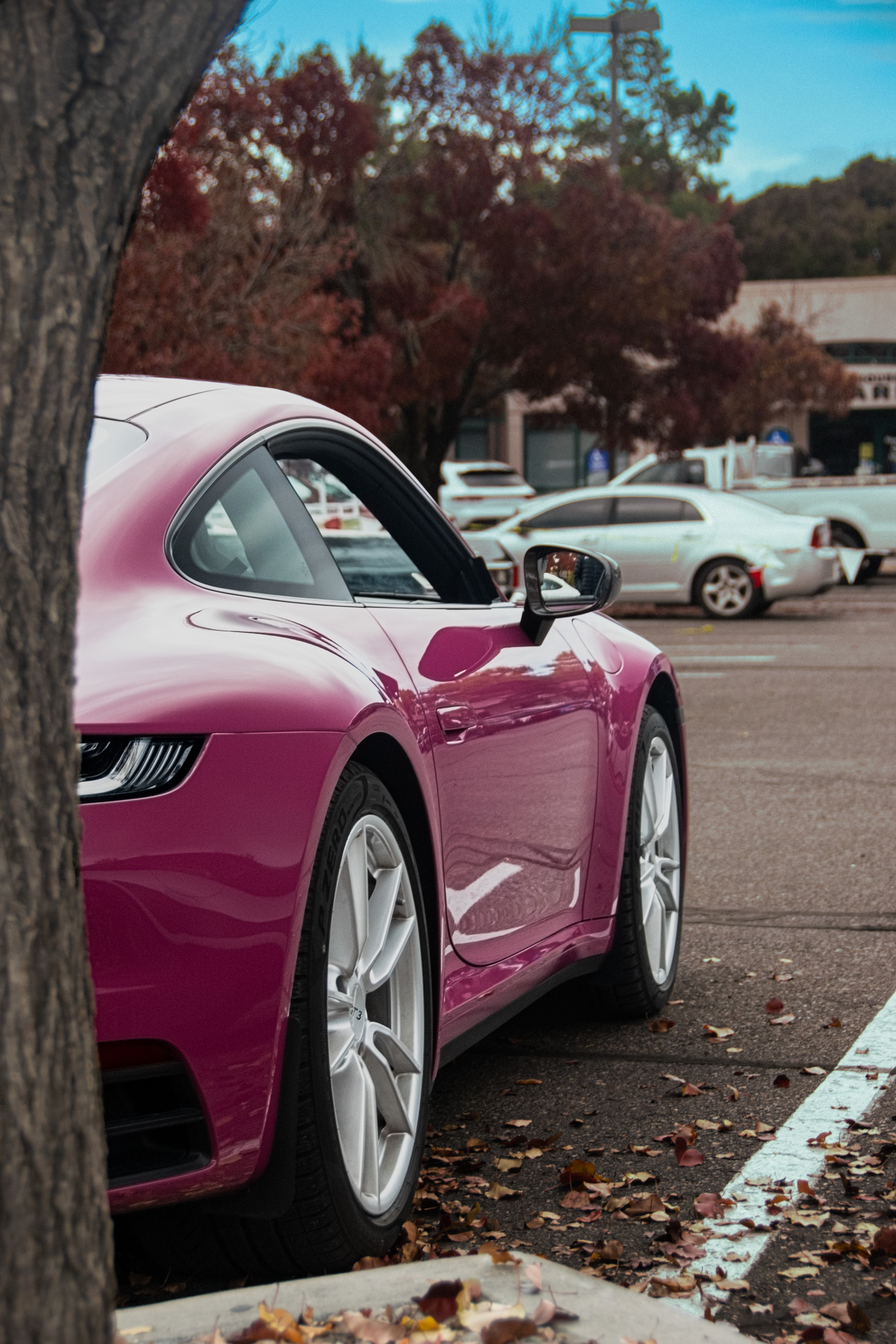 DSC_0161.jpeg