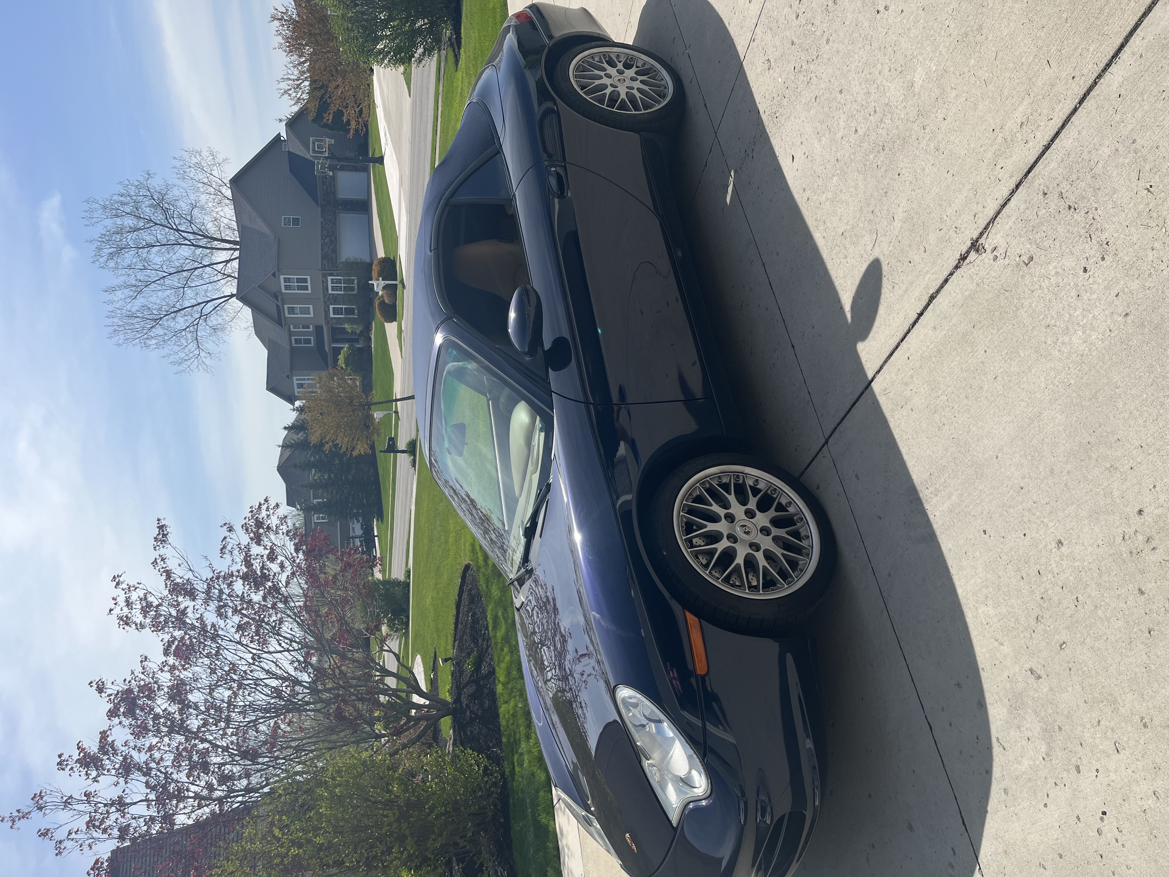 IMG_7371.jpeg