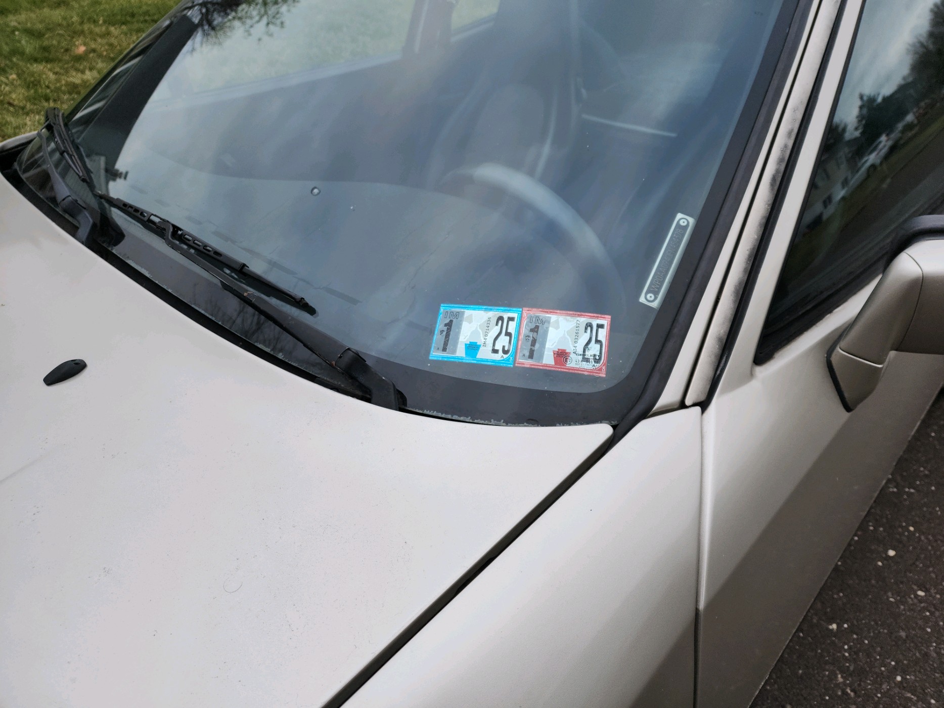49889.jpeg