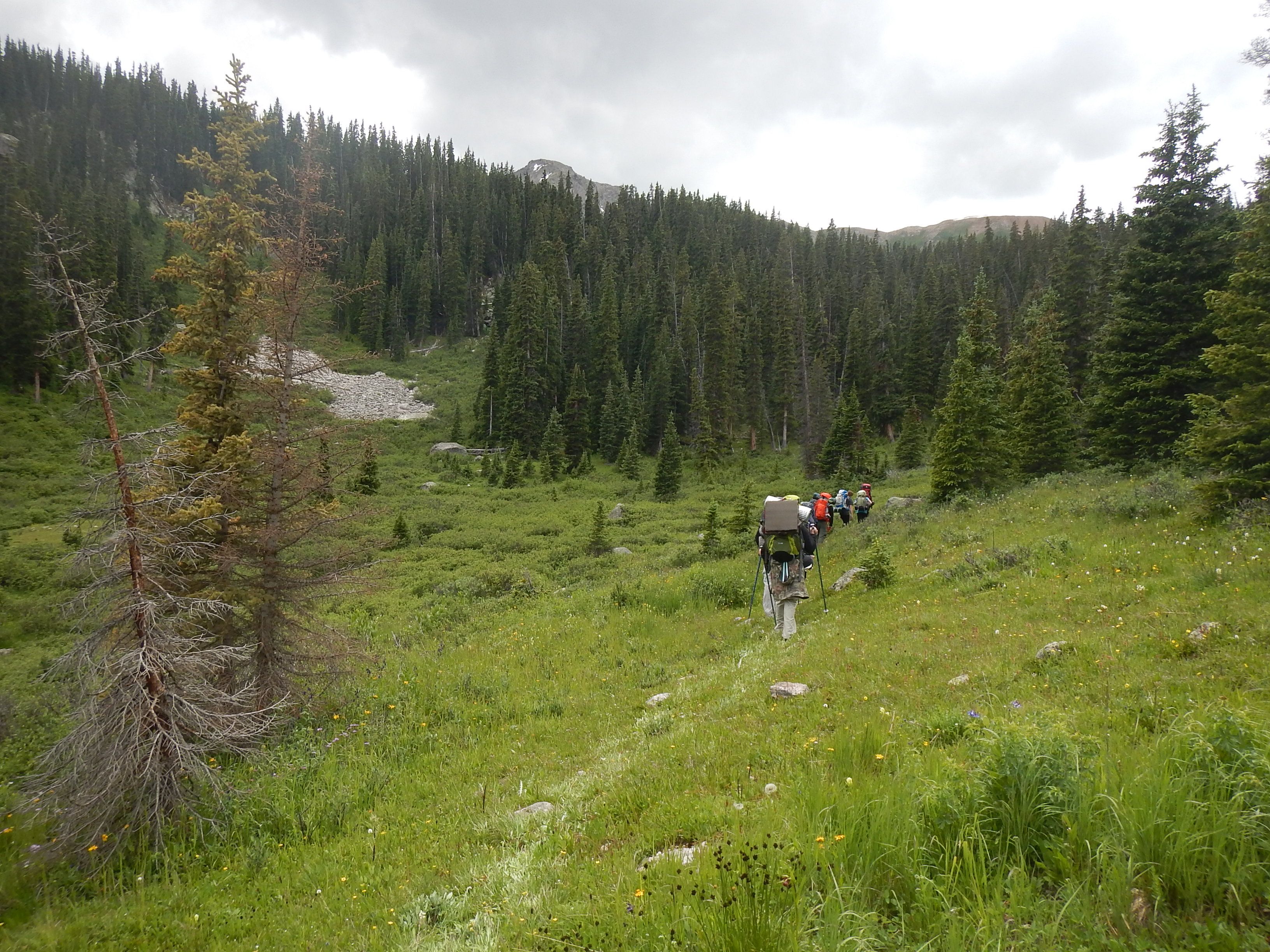 DSCN3557.jpg