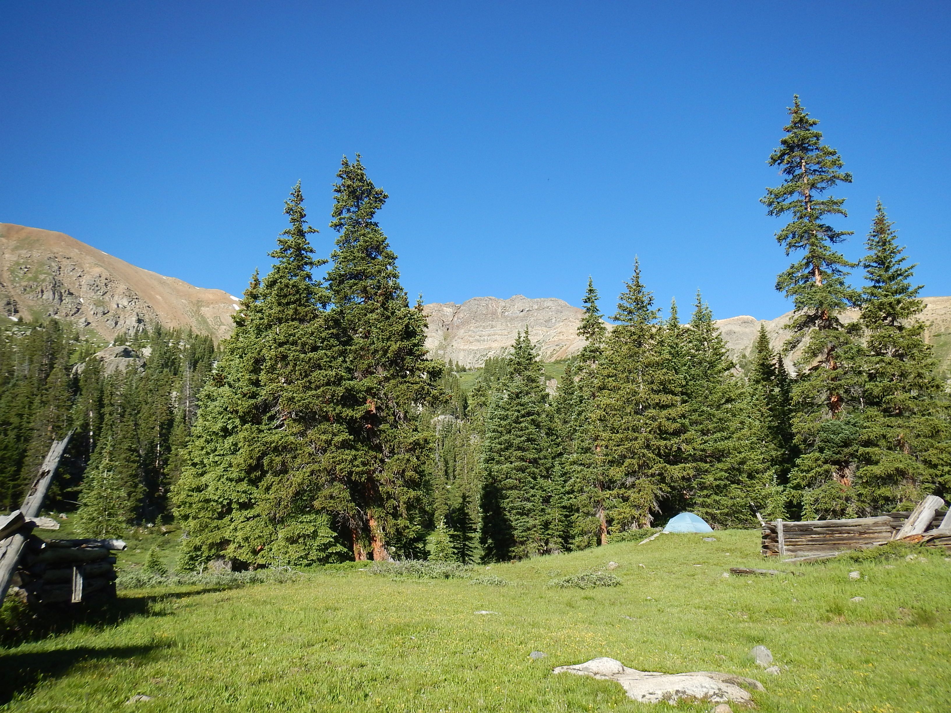 DSCN3565.jpg