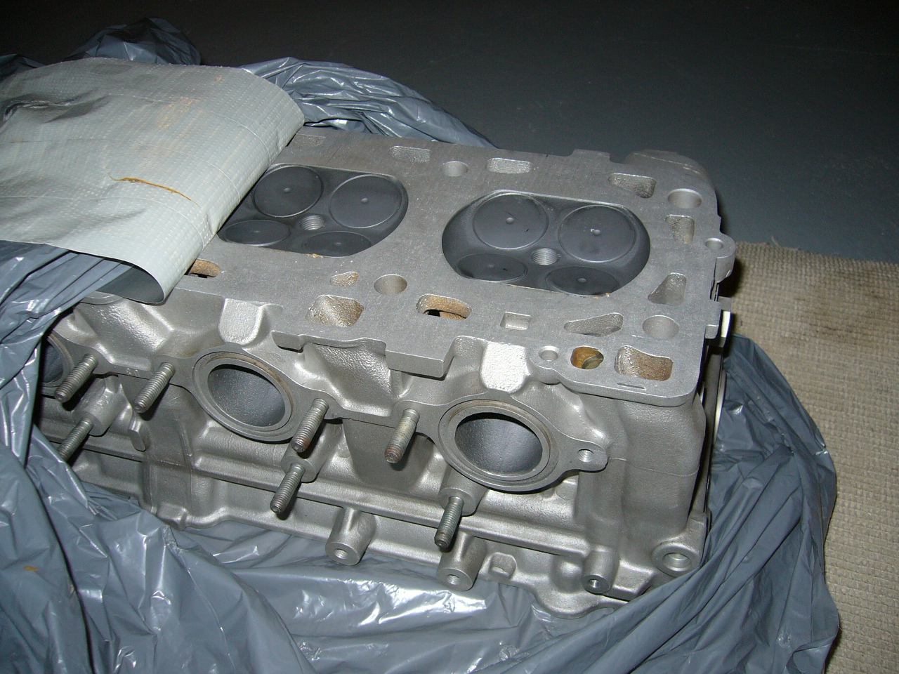 P1020008.JPG