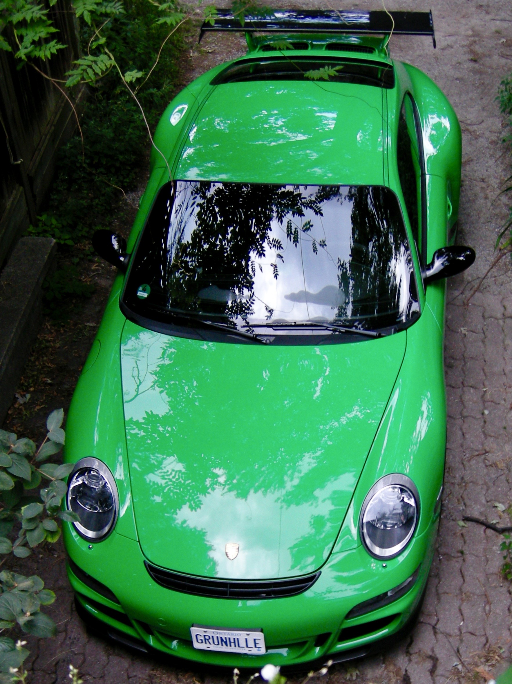 DSCN4634.JPG