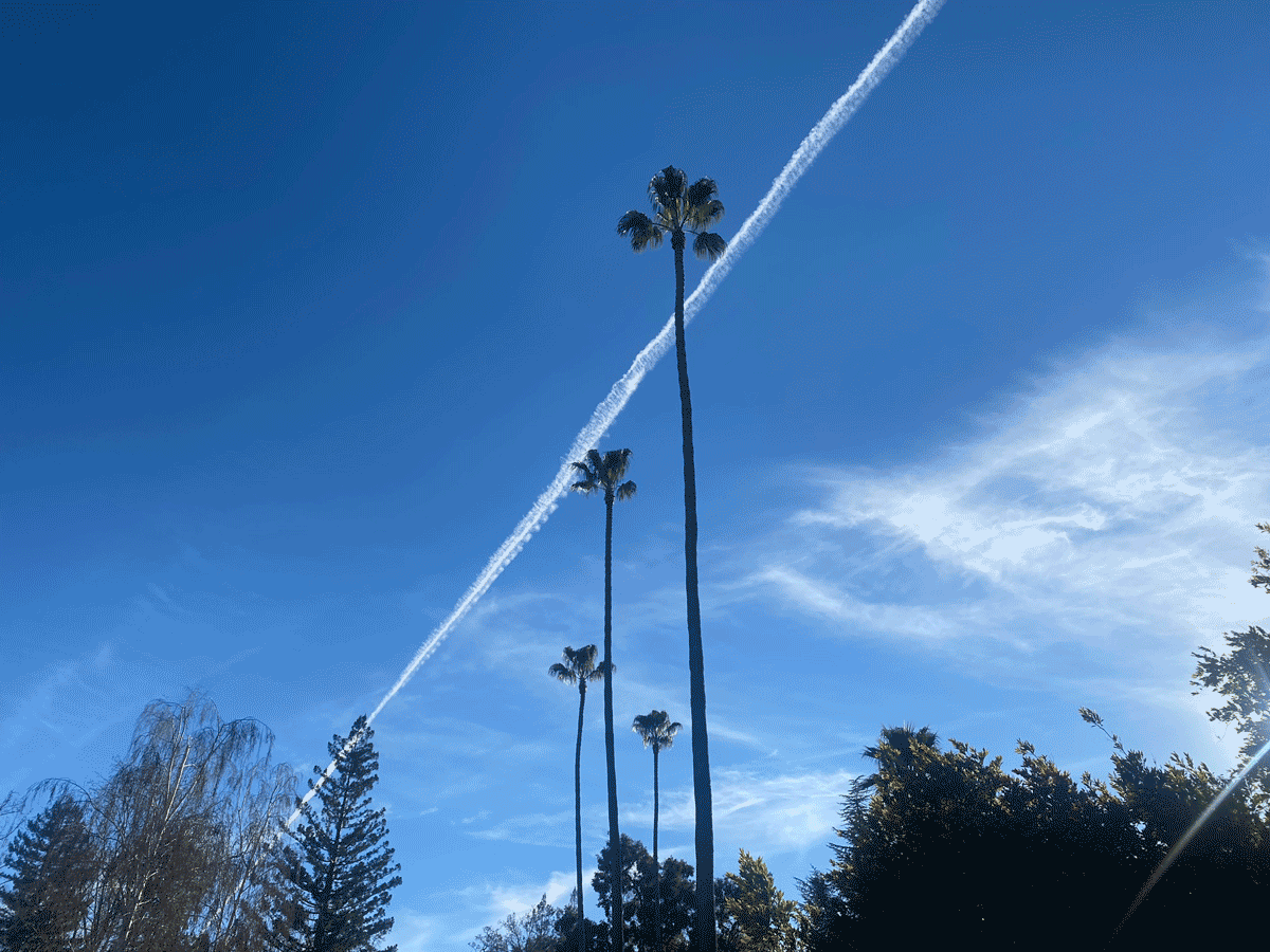 nice-day.gif