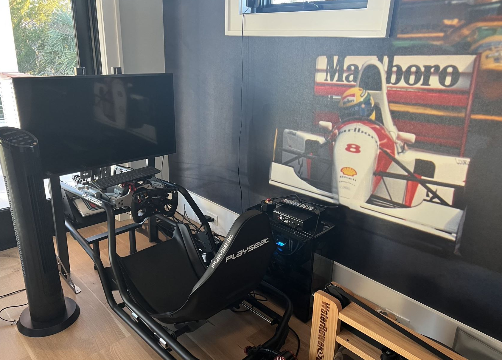 SimRacing.PNG