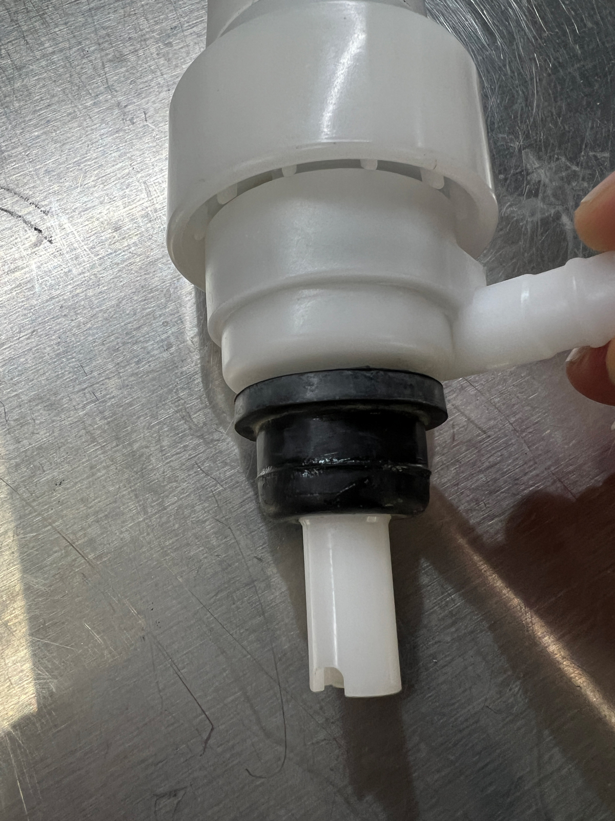Seal-on-Pump.jpg