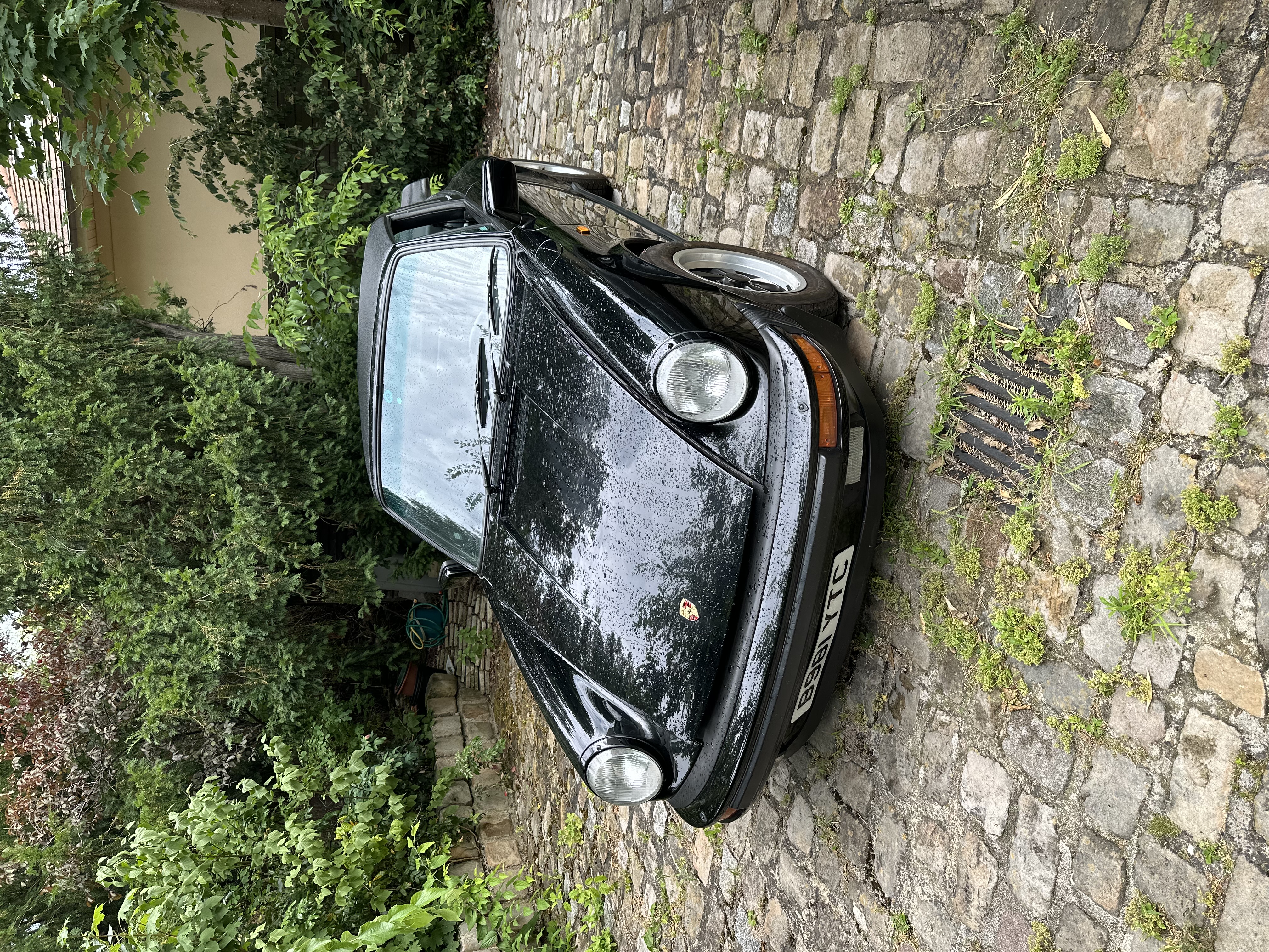 IMG_8958.jpeg