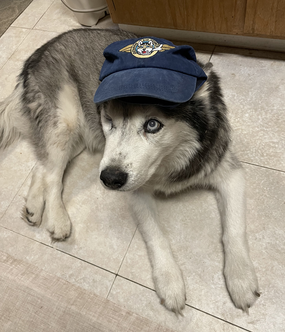 Nala_Iditarod_Air_Force_1000res.jpg