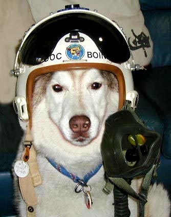 Major DJ Muttley.jpg