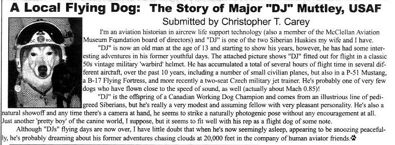 DJ Muttley--doggedly determined aviator-2004.jpg