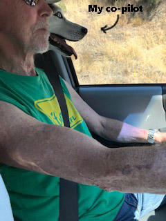 Chris_and_copilot_Nala_on_Trip_to_Trinidad_Aug2021_my_co-pilot.png