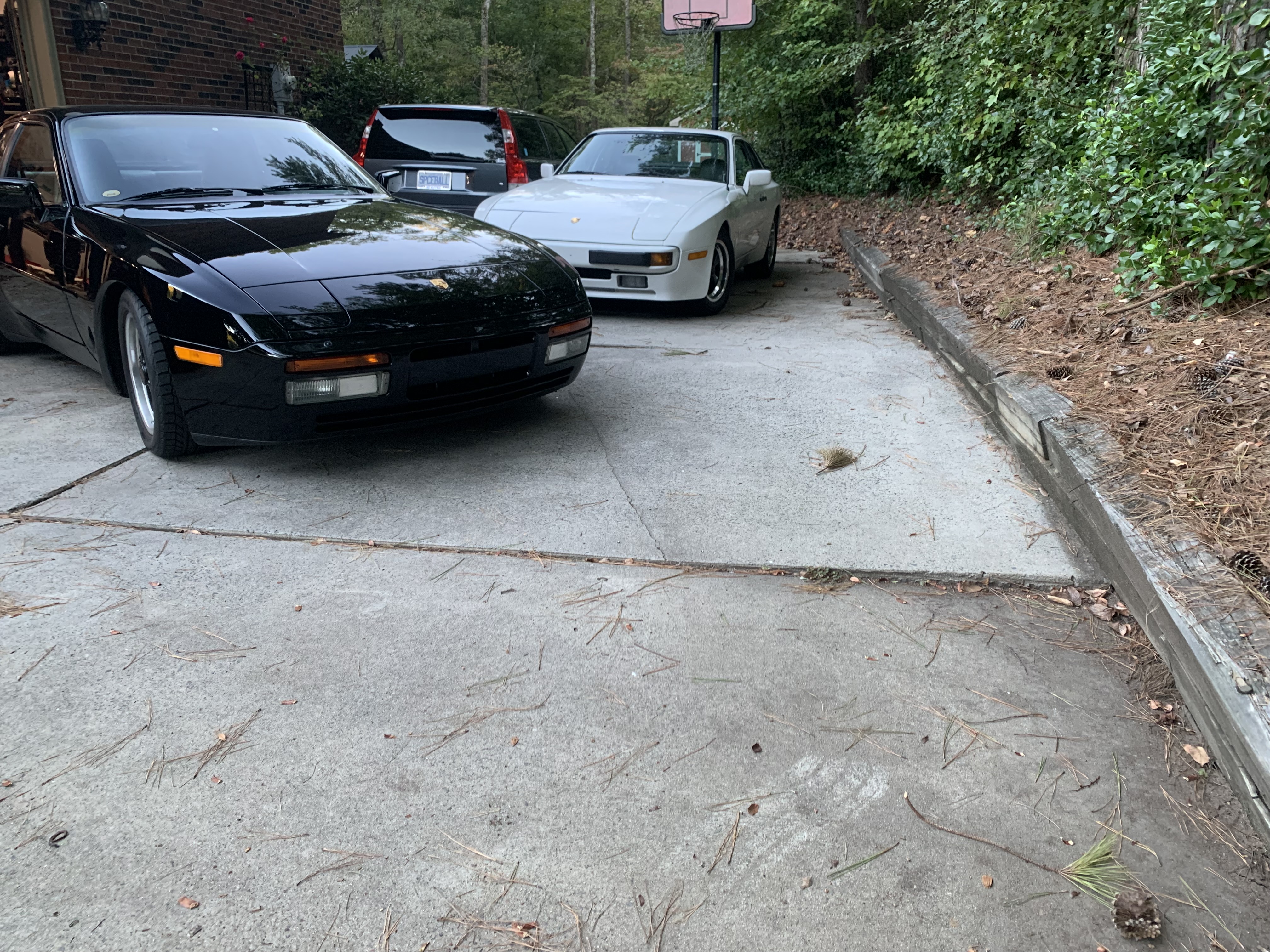 IMG_5940.jpeg