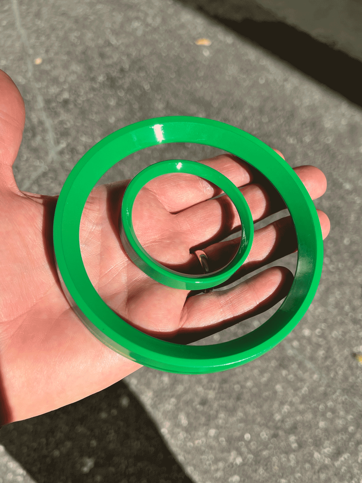 python.gif