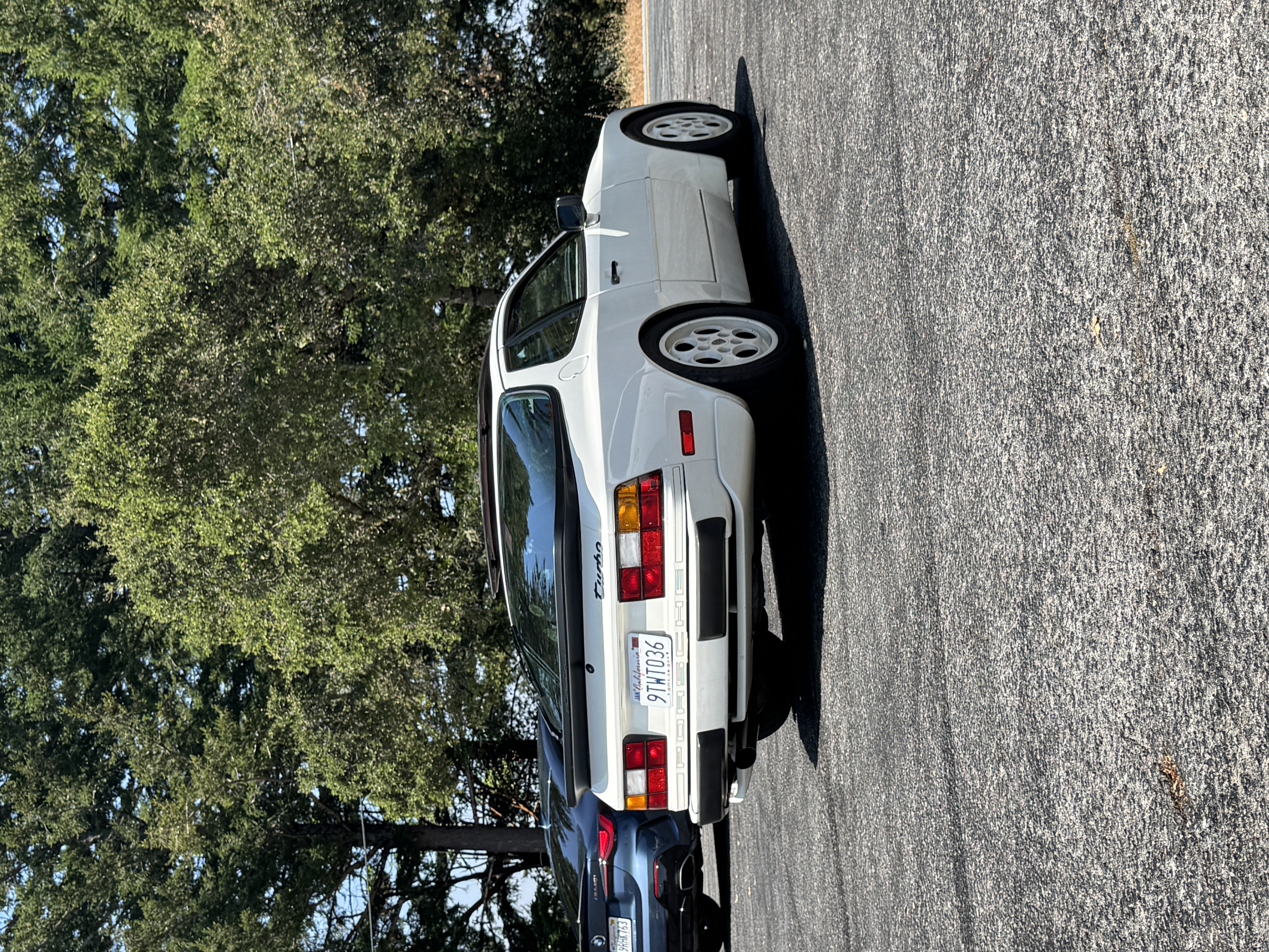 IMG_2671.jpeg