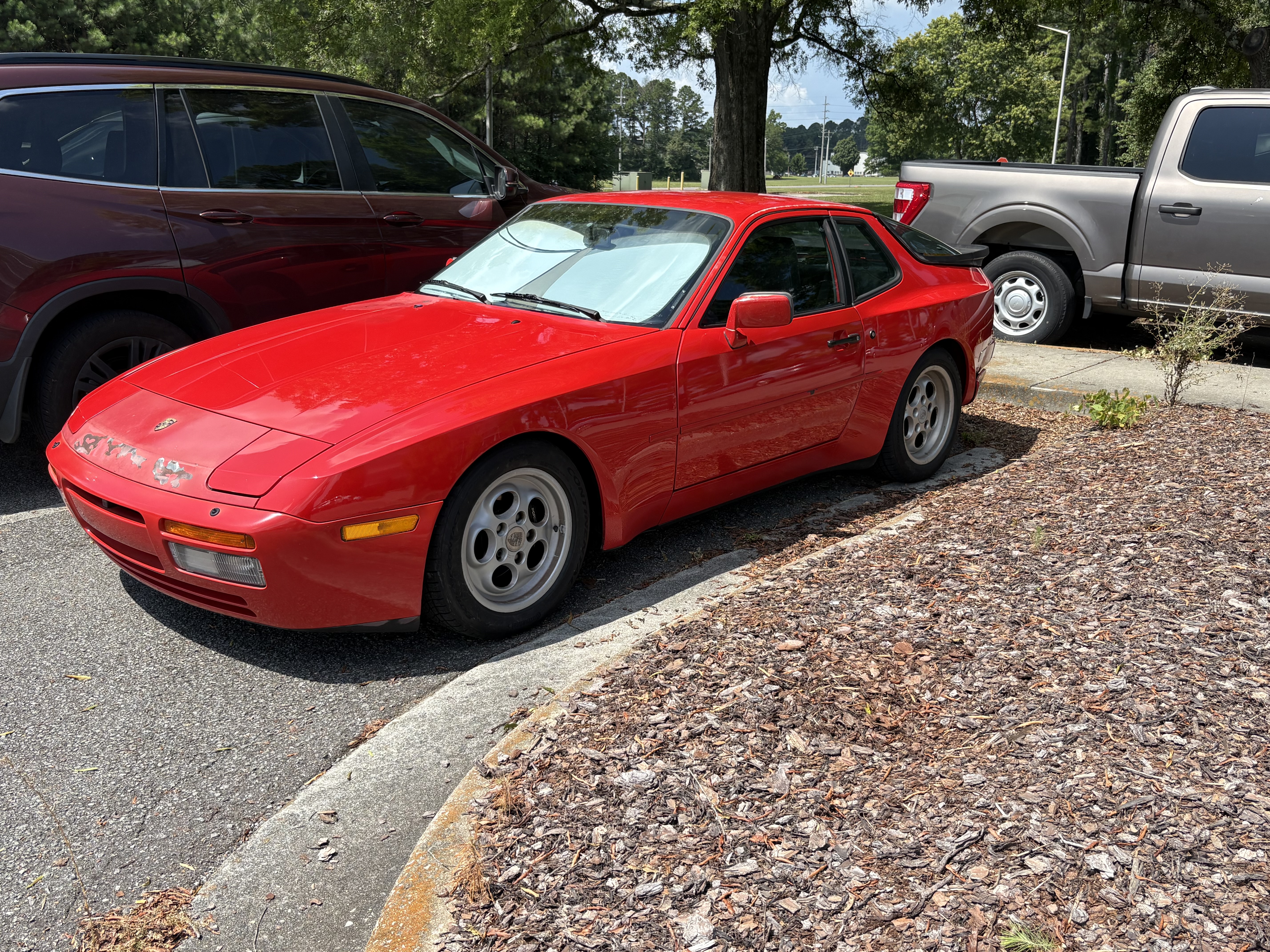 IMG_8946.jpeg