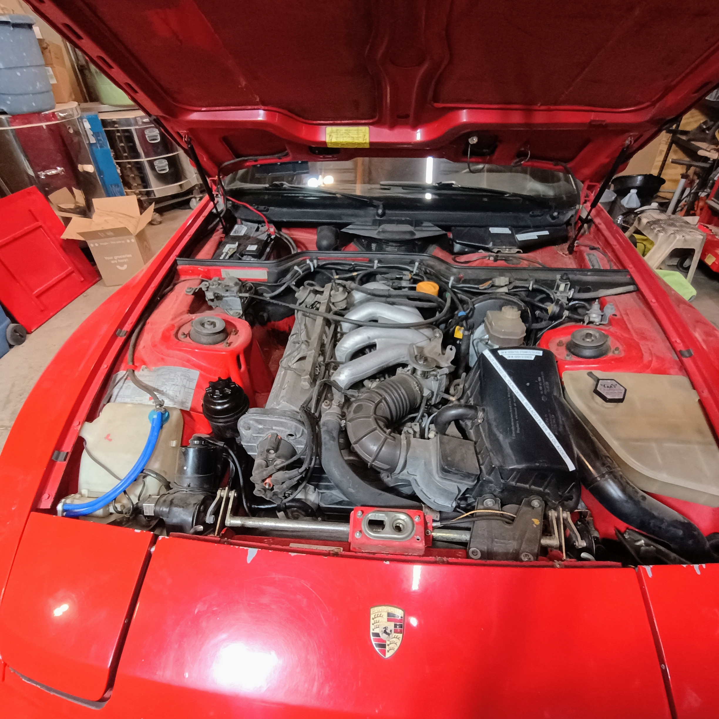 IMG_20250810_191041740_AE[1].jpg