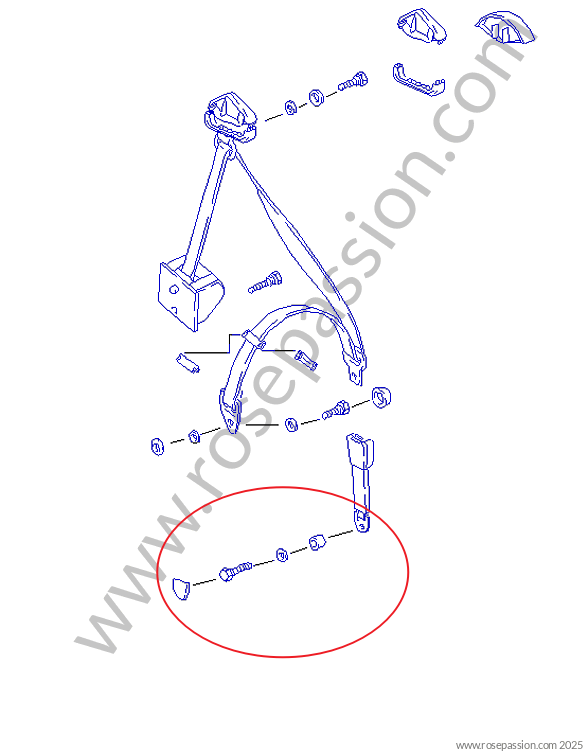 The bolt assembly