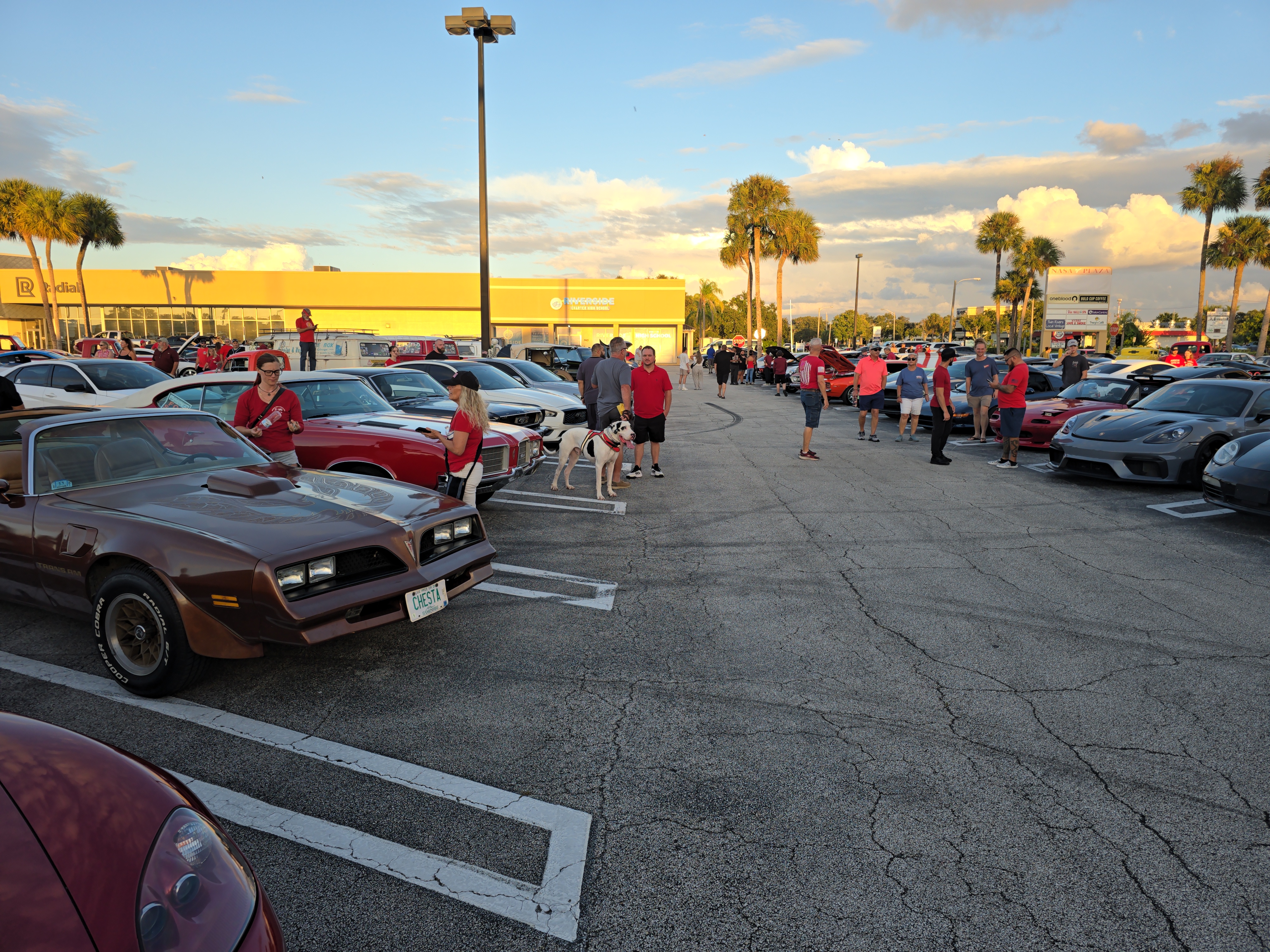 03c51682-e600-4e54-9bb6-55a32a6bc246.jpg