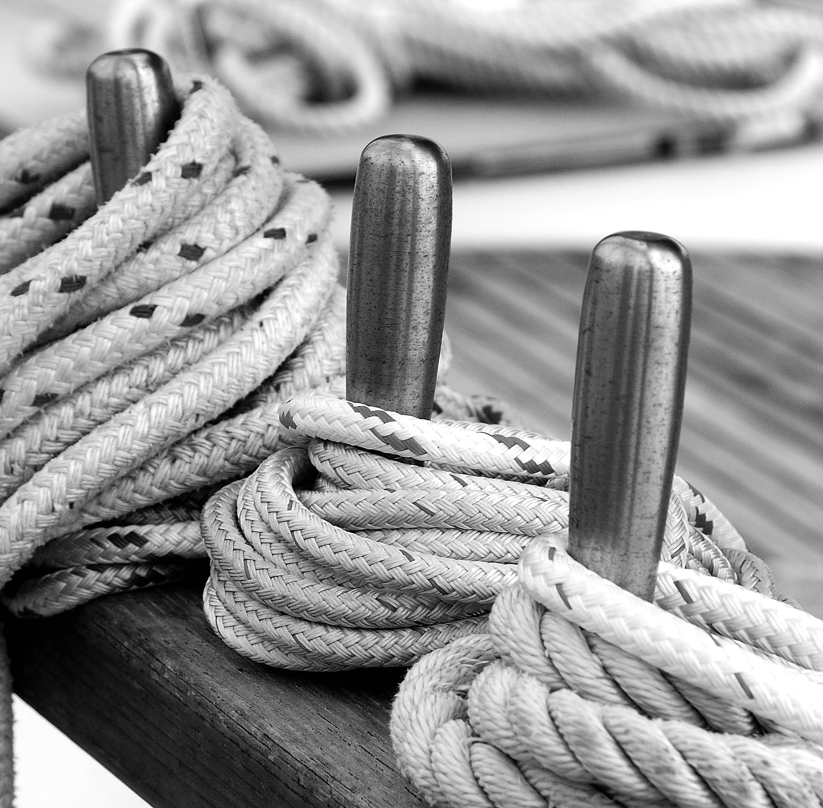Belaying Pins.jpg