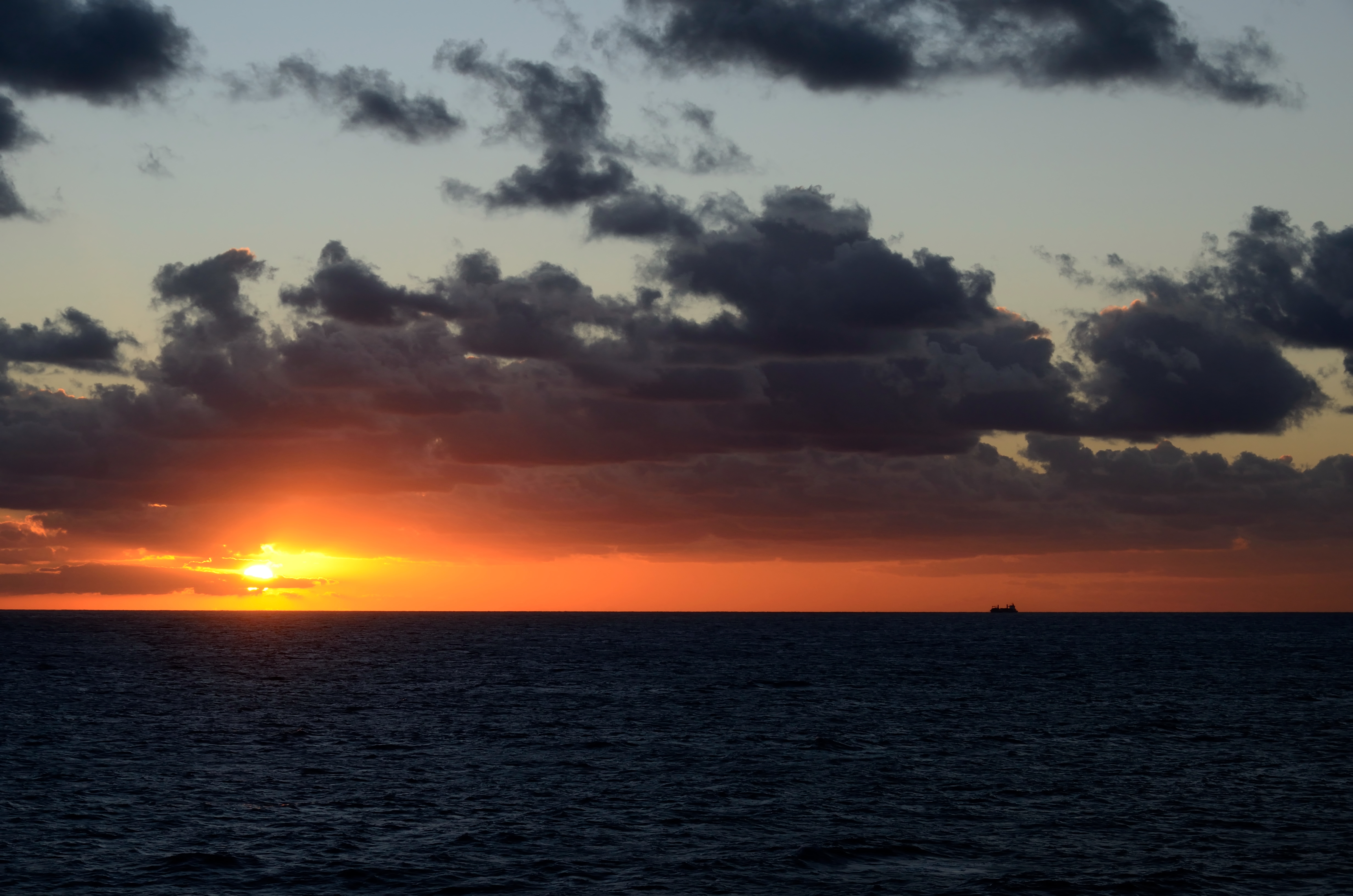 _DSC0755.jpg