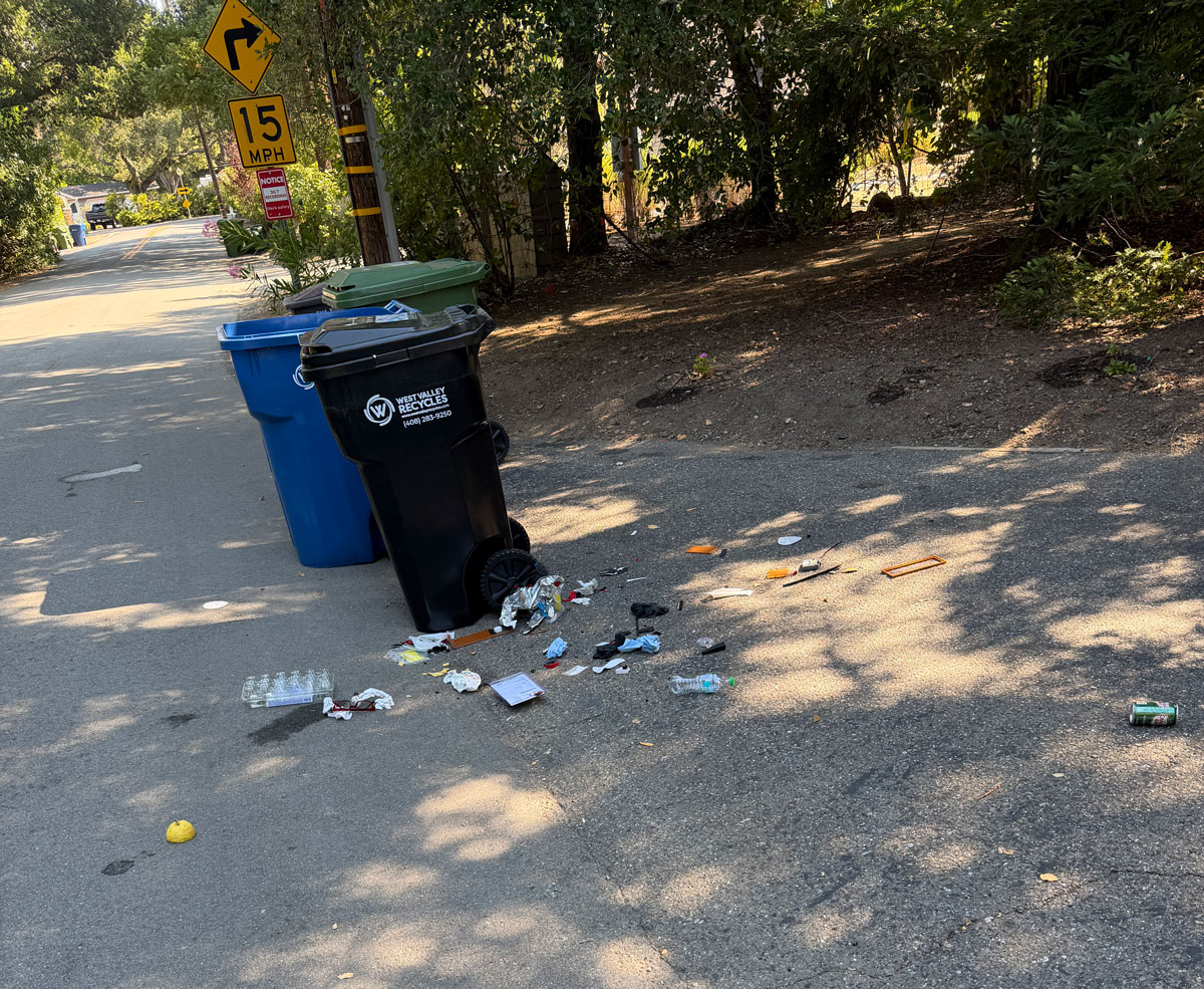 garbage.jpg