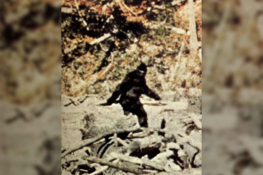 bigfoot.jpg
