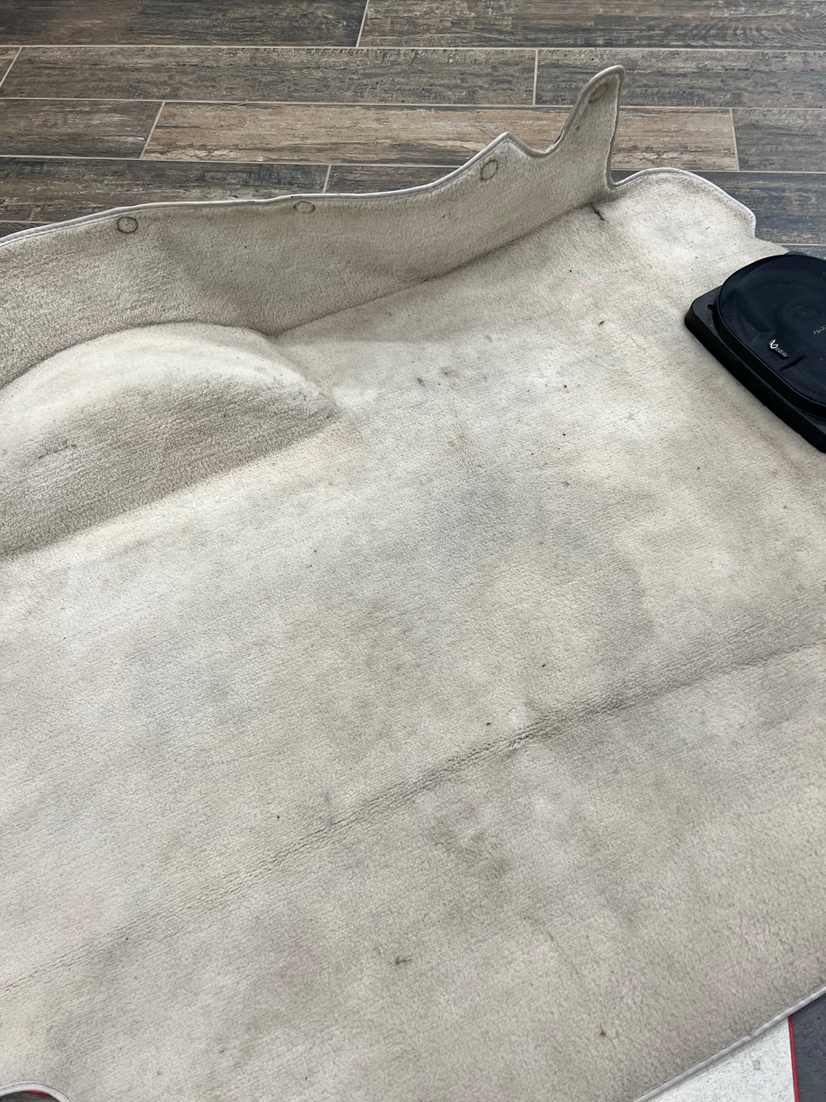 carpet4.jpg