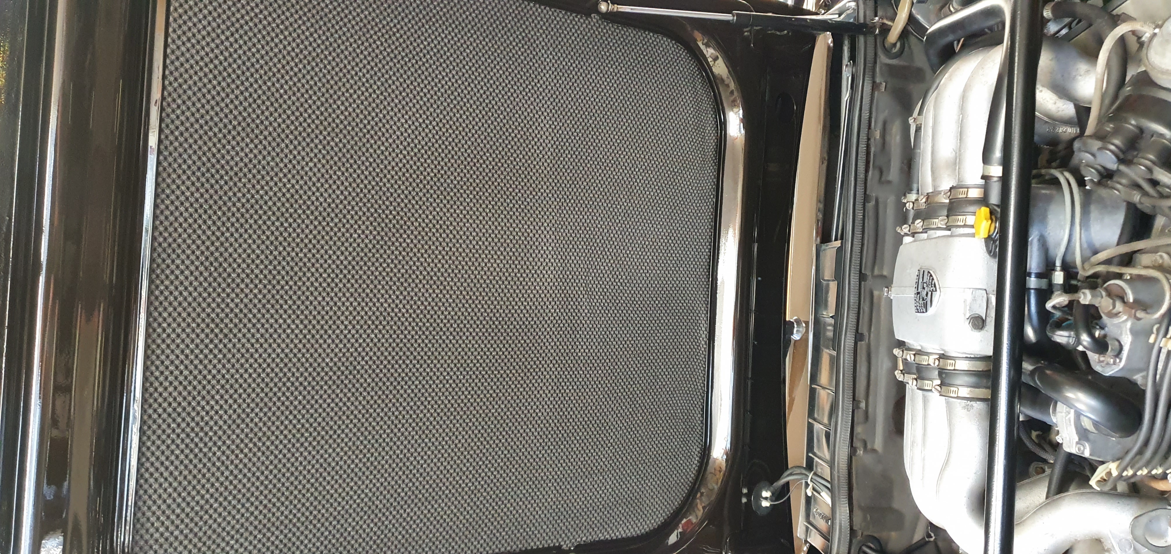 20220409_151631.jpg