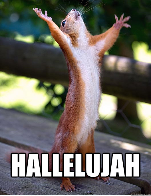 squirrel.jpg