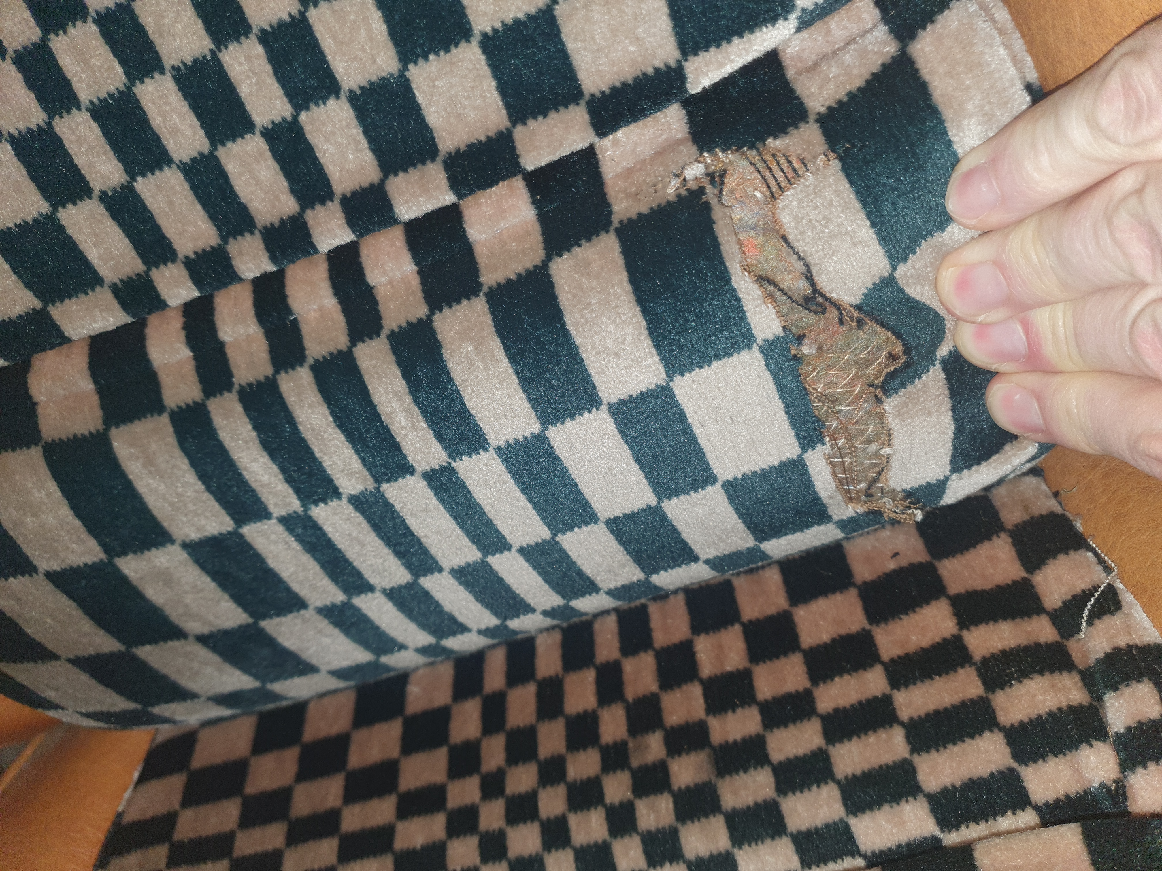 20210302_160713.jpg