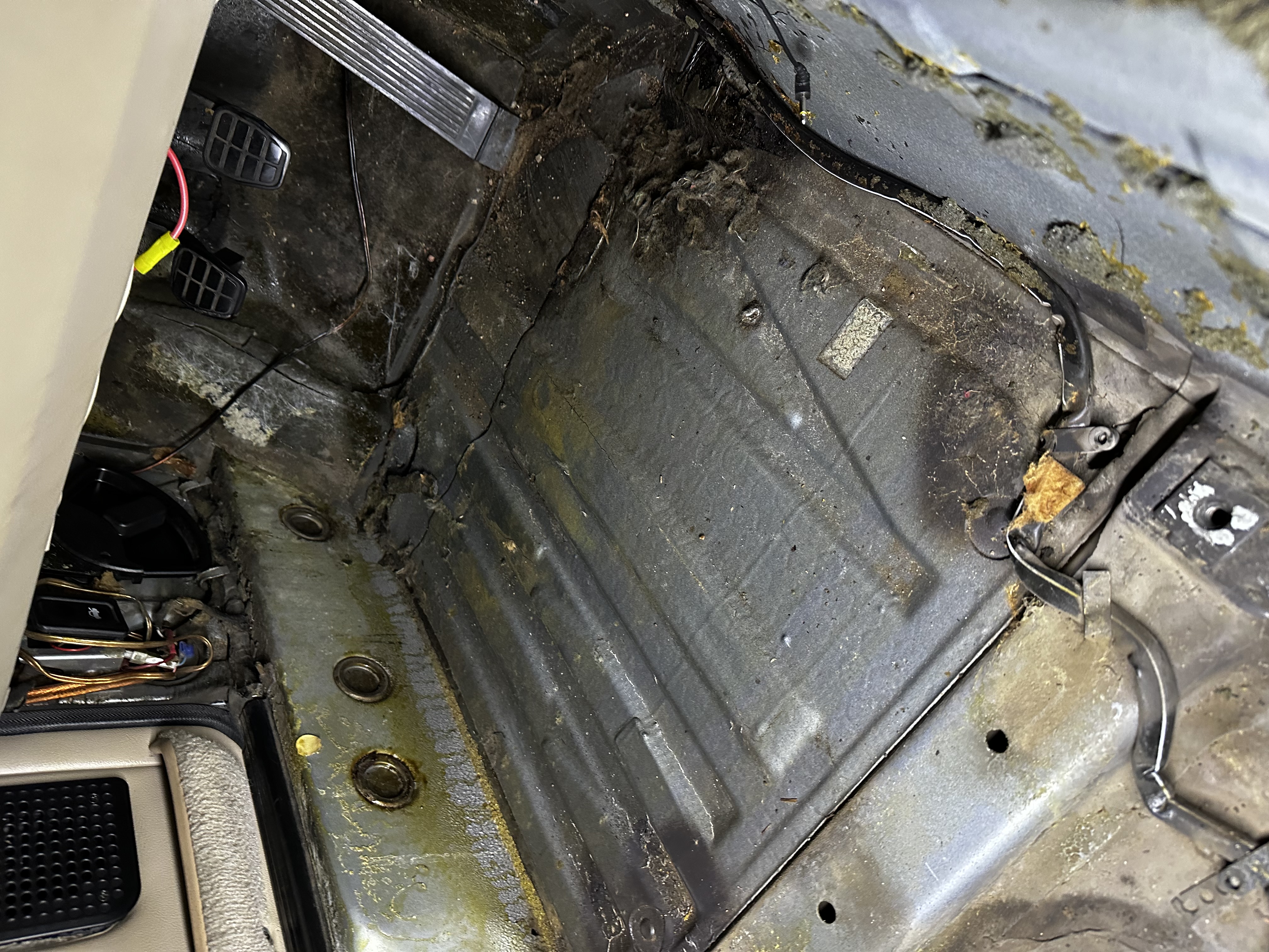 Driver side - mostly intact