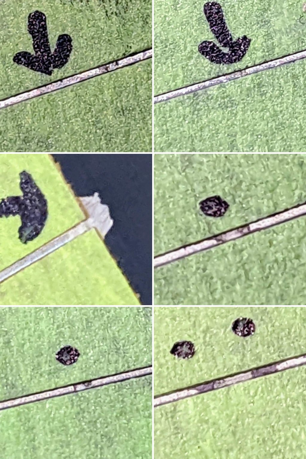 Repair Spots Close Up