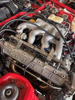 IMG_0690.jpeg