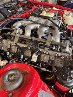IMG_0693.jpeg