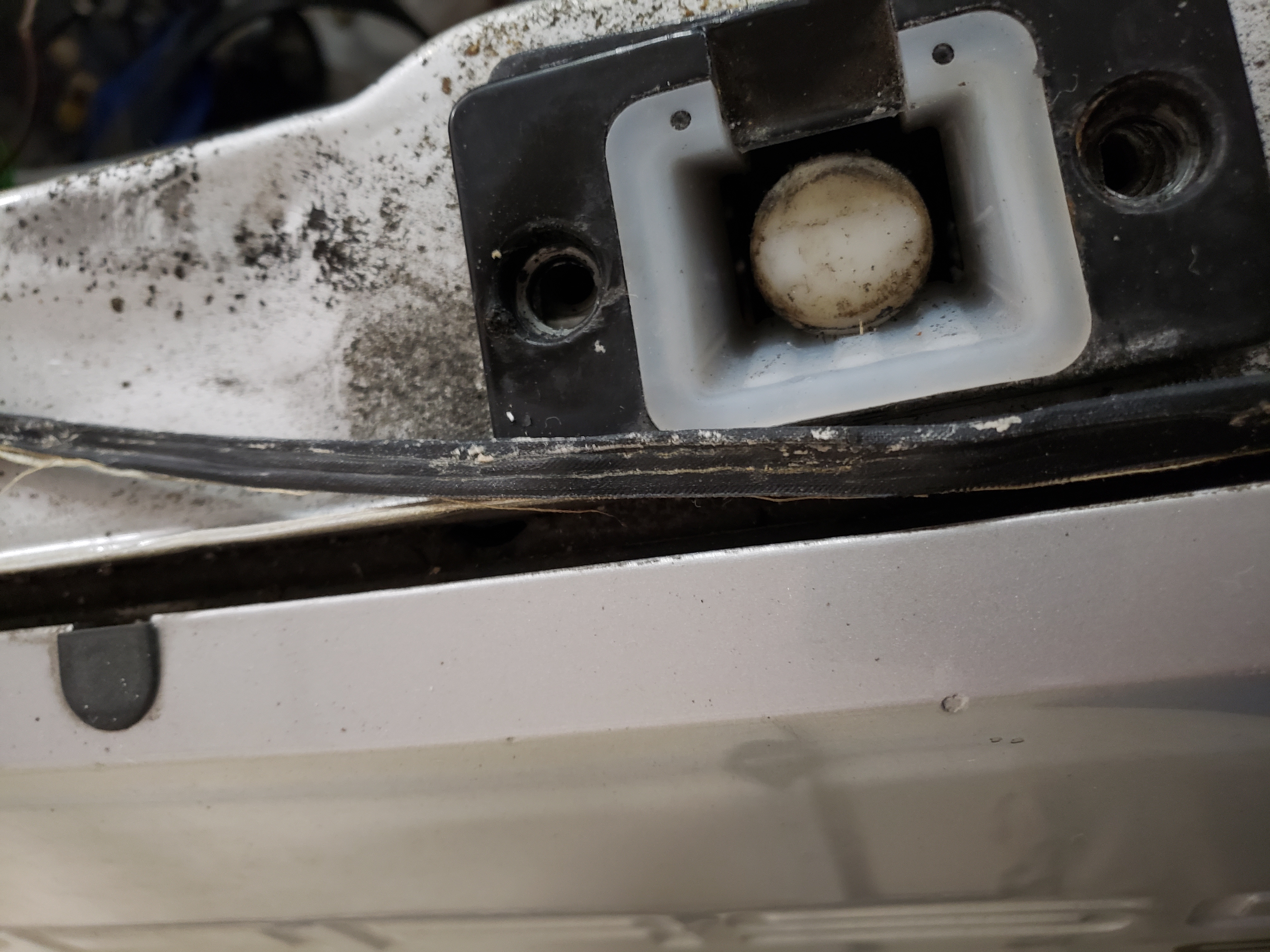 20230512_190314.jpg